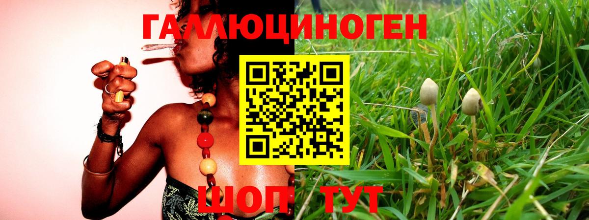 Галлюциногенные грибы Psilocybe  Вход с VPN  Галлюциногенные грибы мухоморы  Тобольск 